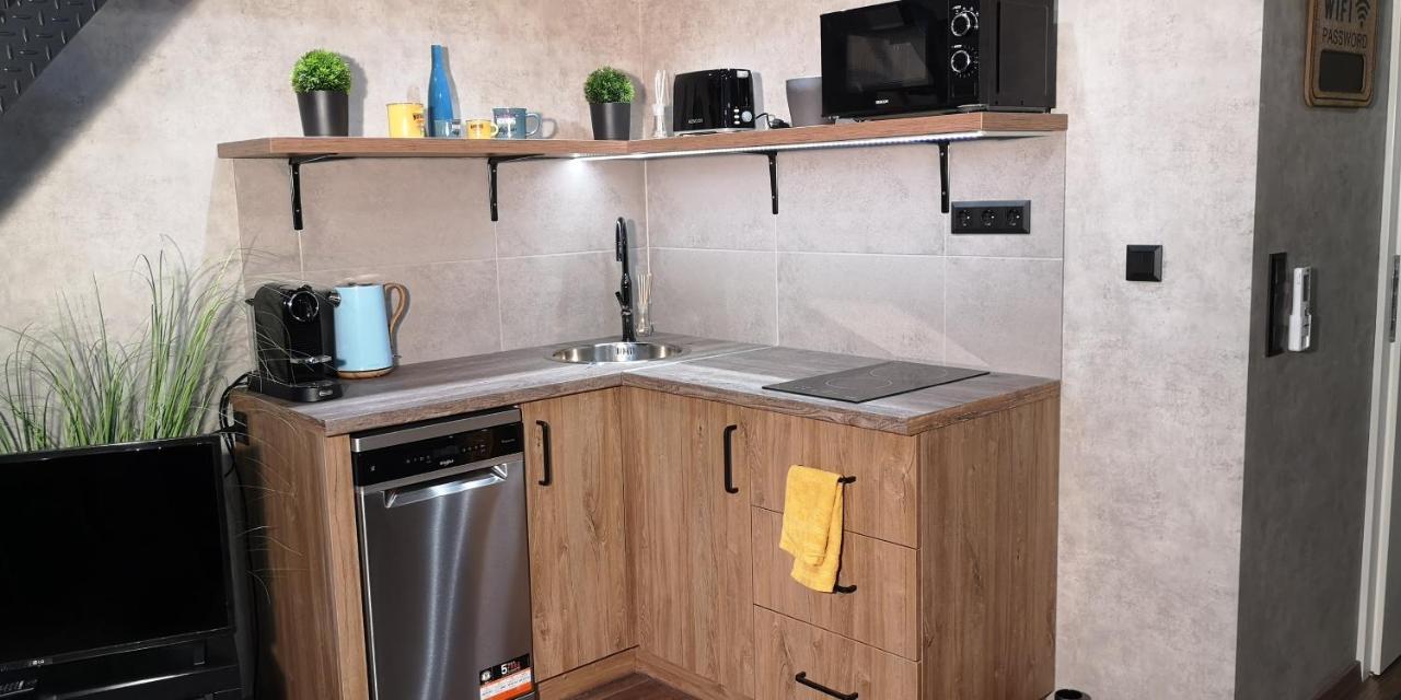 בודפשט Luxury Apartment In The City Center With Parking מראה חיצוני תמונה